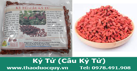 Kỷ Tử - Câu Kỷ Tử