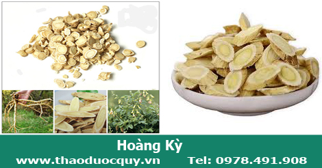 Hoàng Kỳ