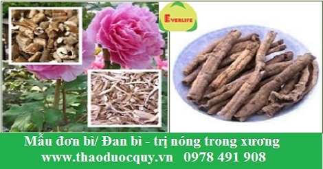 mẫu đơn bì