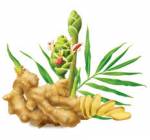 Phối hợp các biện pháp của y học cổ truyền khi cách ly F0 tại nhà