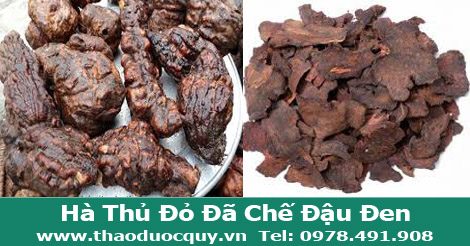 h&agrave; thủ &ocirc; đỏ trị t&oacute;c bạc sớm
