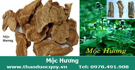 h&igrave;nh ảnh mộc hương