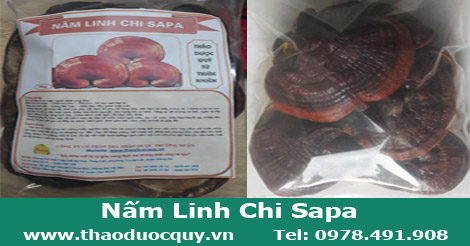 nam_linh_chi_sapa